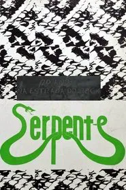 20 Anos na Estrada do Rock movie poster