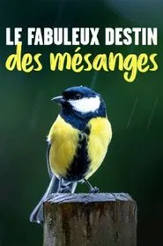 Kleine Meise ganz groß movie poster