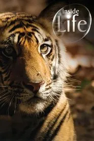 Inside Life tv show poster