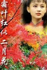 霜叶红似二月花 tv show poster