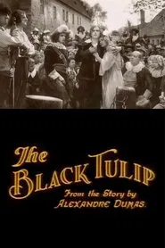 The Black Tulip movie poster