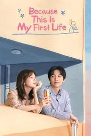 Because This Is My First Life tv show poster