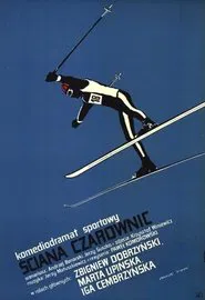 Ściana czarownic movie poster