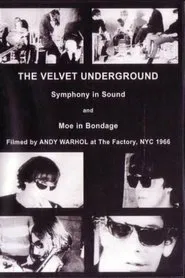 The Velvet Underground and Nico: A Symphony of Sound movie poster