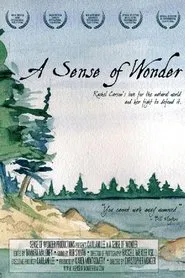 A Sense of Wonder movie poster