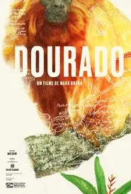 Poster do filme Dourado
