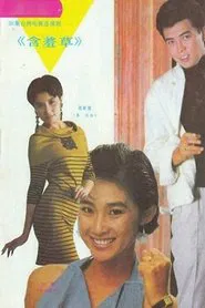 含羞草 tv show poster