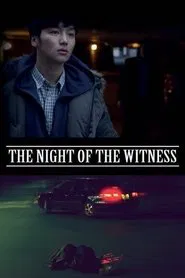 The Night of the Witness movie poster