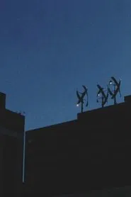 A Century Plant in Bloom movie poster