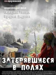 Poster do filme Lost in the Fields