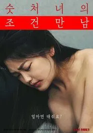 Poster do filme Meeting Conditions of a Virgin