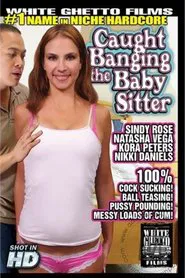 Caught Banging The Baby Sitter 1 movie poster