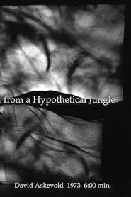 Poster do filme My Recall of an Imprint from a Hypothetical Jungle