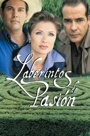 Labyrinth of Passion tv show poster
