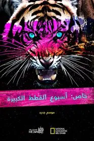 Big Cat Week Collection tv show poster