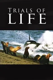 Trials of Life tv show poster