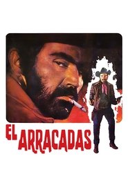 Poster do filme El Arracadas