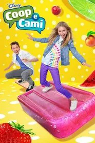 Poster da série Coop e Cami