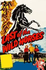Last of the Wild Horses movie poster
