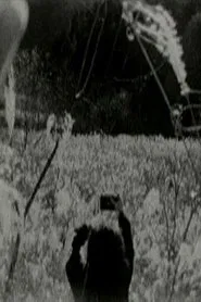 Chichibu Rest movie poster