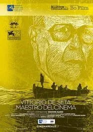 Poster do filme Vittorio De Seta - Maestro del cinema