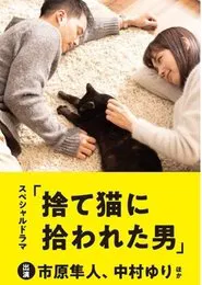 The Man Who Got Picked Up by a Stray Cat movie poster