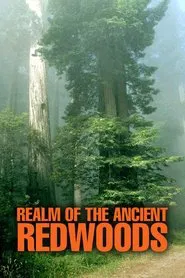 Poster do filme Realm of the Ancient Redwoods