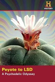 Peyote to LSD: A Psychedelic Odyssey movie poster