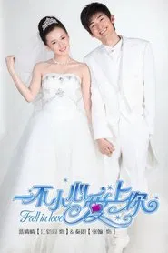 Fall In Love tv show poster