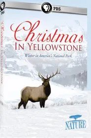 Poster do filme Christmas in Yellowstone