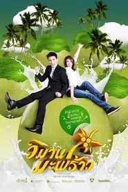 Coconut Paradise tv show poster