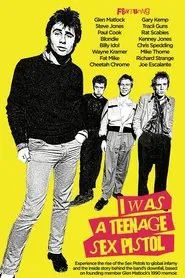 I Was a Teenage Sex Pistol movie poster