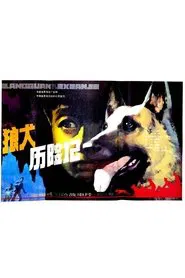 狼犬历险记 movie poster