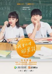Remember My Boy tv show poster