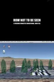 How Not to Be Seen: A Fucking Didactic Educational .MOV File movie poster