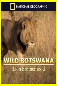 Lion Brotherhood movie poster