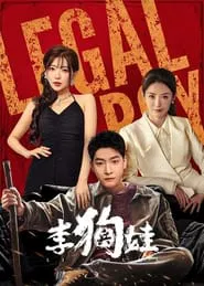 Legal Boy tv show poster