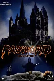 Password movie poster