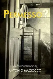Permesso? movie poster