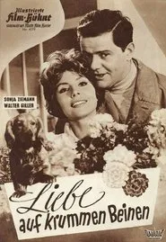 Liebe auf krummen Beinen movie poster