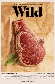 Poster do filme Wild