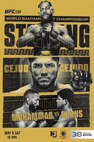 UFC 288: Sterling vs. Cejudo movie poster