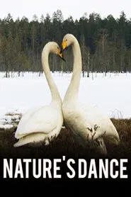Poster do filme Nature's Dance