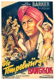 Poster do filme Mystery of the Black Jungle