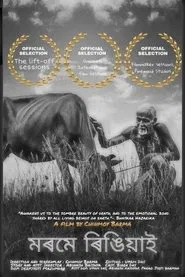 Poster do filme Morome Ringiyaai