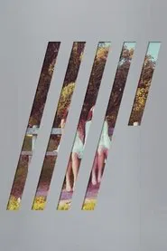 Steven Wilson: 4 ½ movie poster