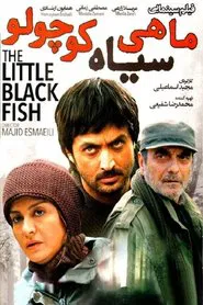 The Little Black Fish movie poster