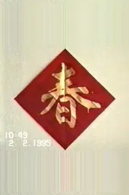1995年2月2日民间举办迎喜花会 tv show poster