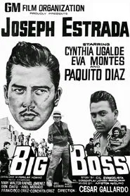 Big Boss movie poster