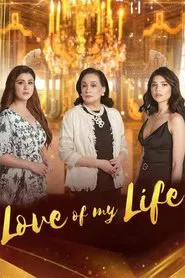 Love of My Life tv show poster